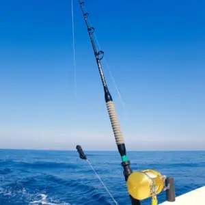Bay Cruise & Light Fishing